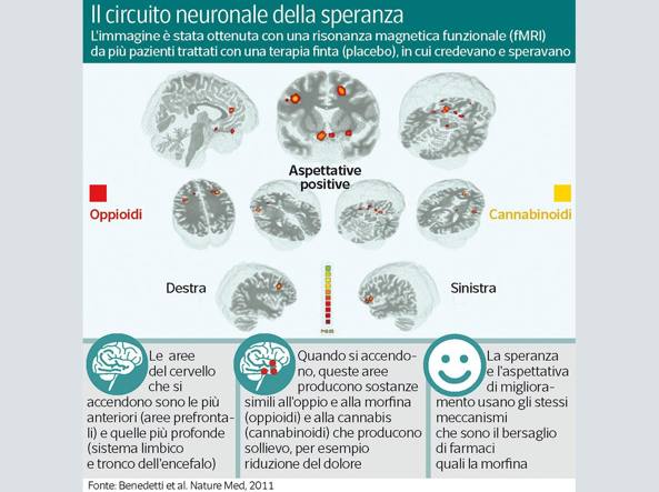 speranza-kIUD-U43490782538538XLD-1224x916Corriere-Web-Sezioni-593x443jpg