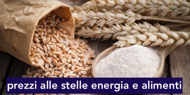 Fotolia_124528950_Subscription_Monthly_M-660x330jpg